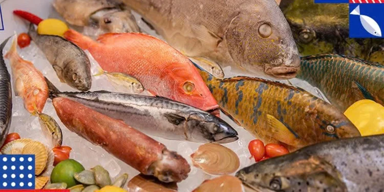 VIETFISH tiếp tục khẳng định vị thế là sự kiện thương mại thủy sản quốc tế hàng đầu khu vực